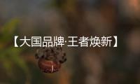 【大国品牌·王者焕新】新工艺
、新展示、新政策