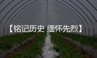 【铭记历史 缅怀先烈】广东博罗：传承抗战精神 加快推动高质量发展