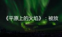 《平原上的火焰》	：被放大的愤怒，被忽略的叙述