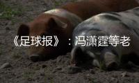 《足球报》
：冯潇霆等老将确认无缘国家队名单