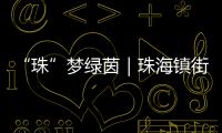 “珠”梦绿茵｜珠海镇街足球联赛市级总决赛开赛