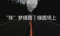 “珠”梦绿茵｜绿茵场上
�，向阳花开——平沙实小足球小将的汗水与梦想