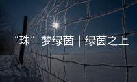 “珠”梦绿茵｜绿茵之上：金湾区如何打造足球发展生态链？