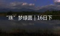 “珠”梦绿茵｜16日下午	
，珠海市青少年足球锦标赛决赛热血开战