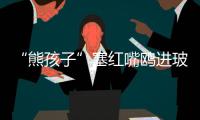 “熊孩子”塞红嘴鸥进玻璃瓶，护鸥队
：抓鸥虐鸥有

�，但比以前少