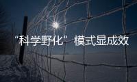 “科学野化”模式显成效！这场生物多样性日论坛在横琴举行