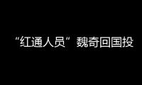 快排公司十年历程，霸屏兔 seo 的崛起与坚守