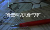 “像塑料袋又像气球”
，有毒别碰	！珠海也出现了
