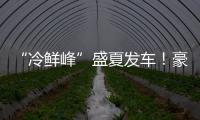 “冷鲜峰”盛夏发车！豪沃重卡夏日冷链盛宴燃爆郑州
