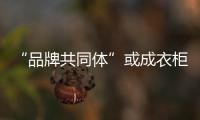 快排公司十年历程，霸屏兔 seo 的崛起与坚守