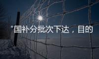 快排公司十年历程，霸屏兔 seo 的崛起与坚守
