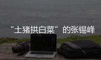 “土猪拱白菜”的张锡峰�：浙大毕业却两手空空，被南科大老师调侃