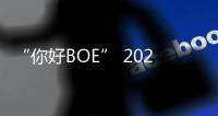 “你好BOE” 2025首站！超酷现场等你来看