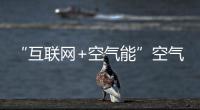 快排公司十年历程，霸屏兔 seo 的崛起与坚守