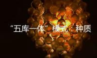 “五库一体”模式
：种质资源保存的创新之举