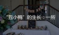 “丑小鸭”的生长：一所学校防治青少年抑郁的探索与思考