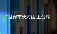 快排公司十年历程，霸屏兔 seo 的崛起与坚守