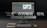 快排公司十年历程，霸屏兔 seo 的崛起与坚守