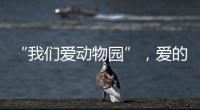 “我们爱动物园”，爱的是什么？