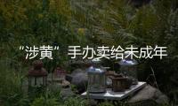 快排公司十年历程，霸屏兔 seo 的崛起与坚守