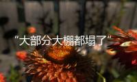 “大部分大棚都塌了”，湖北农业冻雨后迎大考