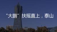 快排公司十年历程，霸屏兔 seo 的崛起与坚守