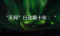快排公司十年历程，霸屏兔 seo 的崛起与坚守