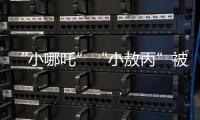 快排公司十年历程，霸屏兔 seo 的崛起与坚守