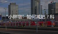 “小胖墩”如何减肥？科学减重看这里