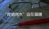 快排公司十年历程，霸屏兔 seo 的崛起与坚守