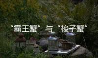 “霸王蟹”与“梭子蟹”，握“钳”言和	！