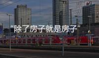 快排公司十年历程，霸屏兔 seo 的崛起与坚守