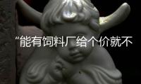 “能有饲料厂给个价就不错了”：河南小麦遇“烂场雨”后
