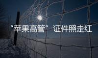 快排公司十年历程，霸屏兔 seo 的崛起与坚守