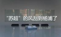 “苏超”的风刮到杨浦了！这场足球赛新星闪耀
