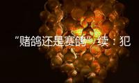 “赌鸽还是赛鸽”续�：犯罪事实不清，不起诉组织者