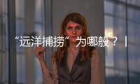 “远洋捕捞”为哪般？丨法眼