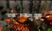 快排公司十年历程，霸屏兔 seo 的崛起与坚守