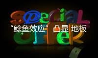 快排公司十年历程，霸屏兔 seo 的崛起与坚守