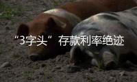 “3字头”存款利率绝迹
，民营银行高息揽储难以为继？