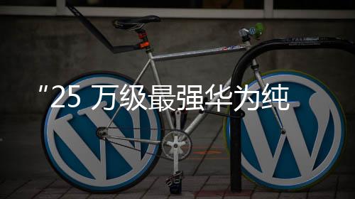 轮辋则提供三种样式可选