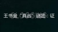 王书金“真凶”谜团：证据审查与疑罪从无原则的坚守