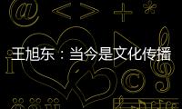 王旭东	：当今是文化传播的最好时代