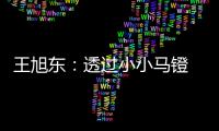 王旭东�：透过小小马镫 可知文明不同