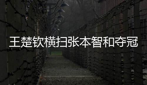 不过张本智和防转攻打出来了