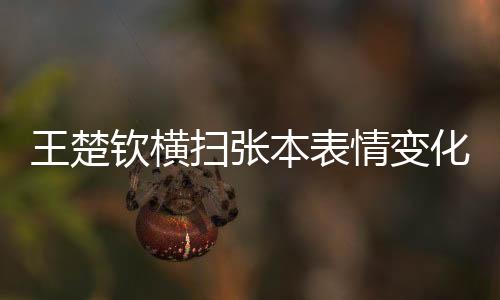 王楚钦4-0战胜张本智和