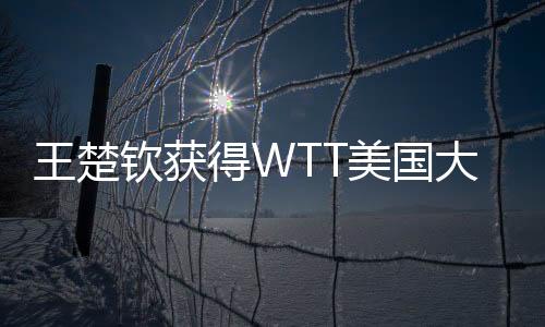 王楚王楚钦直落四局