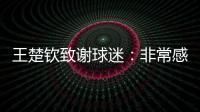 快排公司十年历程，霸屏兔 seo 的崛起与坚守