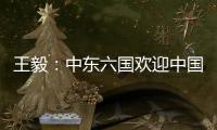 王毅：中东六国欢迎中国在中东事务发挥更大作用