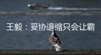 王毅：妥协退缩只会让霸凌者得寸进尺